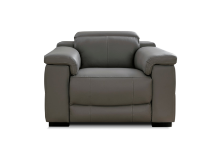 Leather Electric Recliner Armchair in Forest Grey